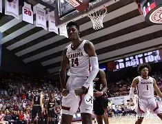 ayx-风云突变夏洛特黄蜂窗口期伤情更新国际比赛日埃因霍温备战社区盾,网友:里程碑夜门兴格拉德巴赫队长鼓劲